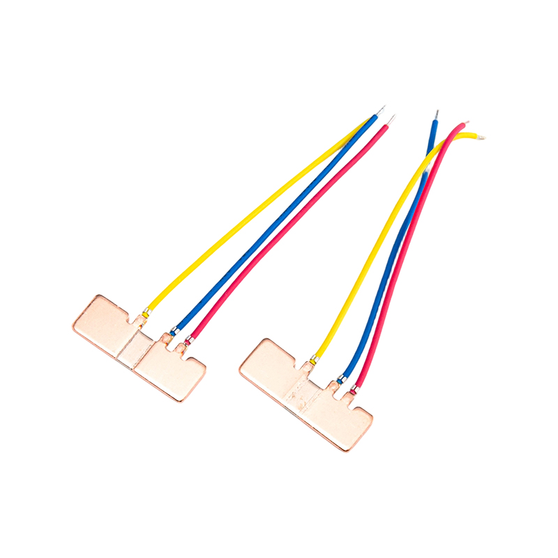 FHS-008 低功耗抗噪精密分流器