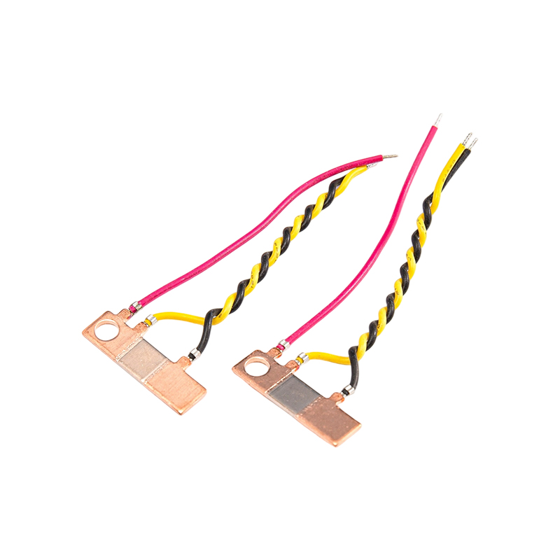 FHS-013 高稳定耐温分流器